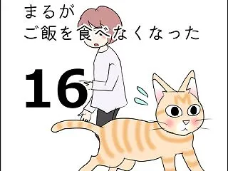 まるがご飯を食べなくなった16