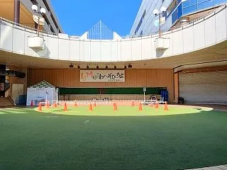 実は先週末ココにわいの大好きなソロミュー…