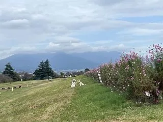 秋の散歩