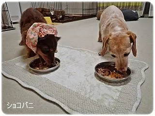 柔らかいのも追加して