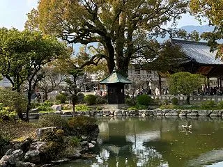 太宰府天満宮にて（2026年3月末）〜b…