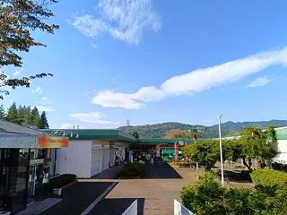 秋の夏日