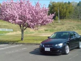 どうなってるの?