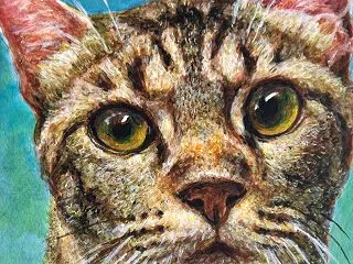広角レンズ効果で子猫ちゃん描きました