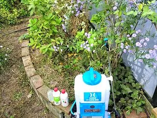 またまた大雨