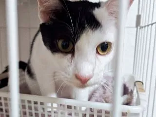 トミー君の引っ越し