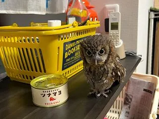 こんばんは🍓🍓🍓🍓🍓