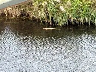 26/10/21（水）【日中の気温が上が…