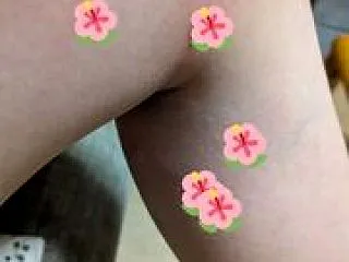 御蚊山～蚊ホイホイ伝～