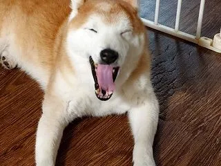 今日も大雨に・・・
