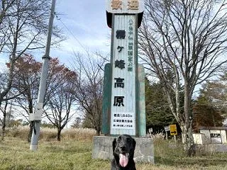日本訓練チャンピオン決定競技会