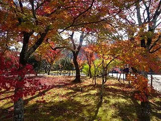 今年はどうするかなあ。。。