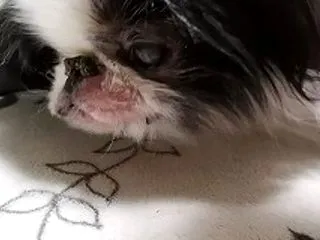寝起き