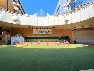 実は先週末ココにわいの大好きなソロミュー…