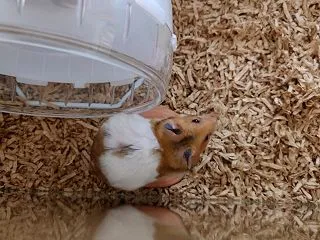 まちあわせ♪