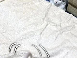 ネズミのしっぽ