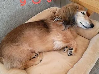 青息吐息⋯😩
