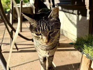 ぬりぬり かんなちゃん。