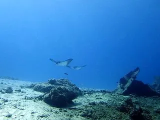 海の日々スタート アンクラーサイパンみゆ…