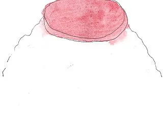 サーモンどどん
