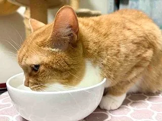 素敵な太もも