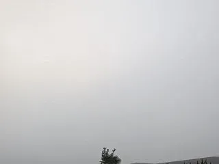 もやってます。