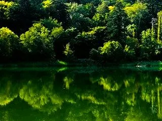 利尻島は北海道の北部に位置する美しい島 …