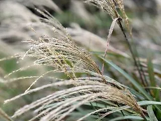 夜の３０分より、寝込まない１週間