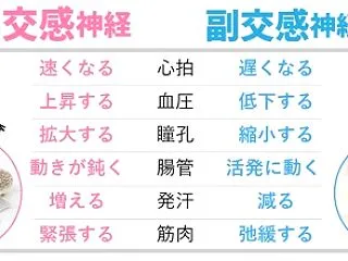 2こころとからだのしくみ 1021