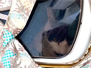 薬が増えた