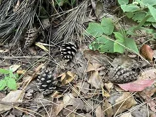 心配してもらえる人でいたい