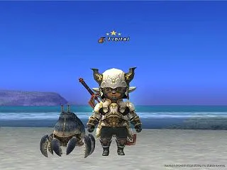 FF11 色々強化状況(寵愛篭手更新)