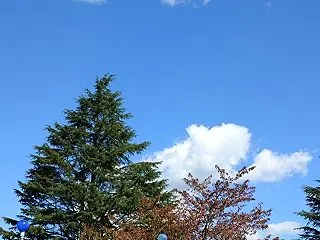 サハラガラスパーク⑥