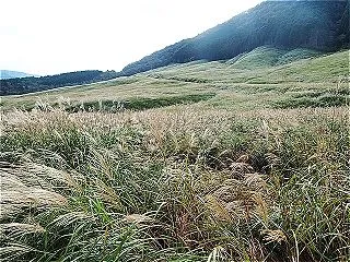 箱根湿性花園の写真 ２０２６．１０．１３