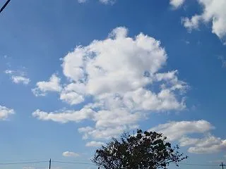 【2026/10/18 譲渡会報告】晴れ