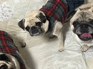 変な天気&4年前