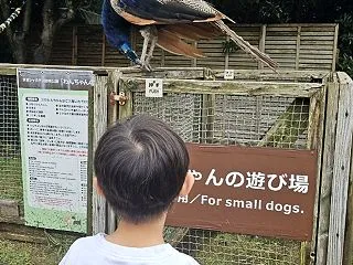 子連れで伊豆シャボテン動物公園へ