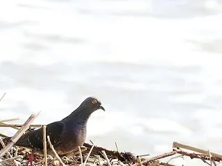 もっと食べたい・・・