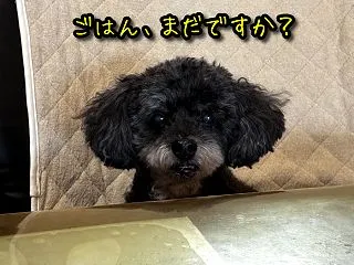 連休明けのいつもの一日♪ 9月24日