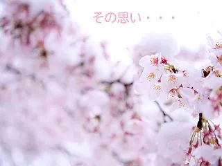 ヴェルニ退会方法を解説！｜実は続けた方が…
