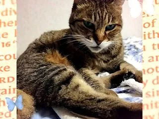 やっぱり今年は広島が熱い…かも(笑)。～…