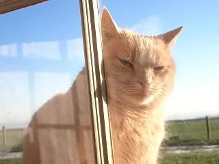 ヒップはどこだ