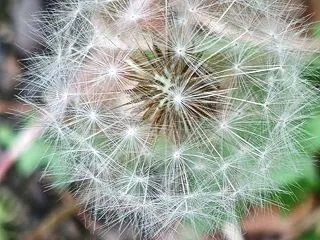 今日の一枚