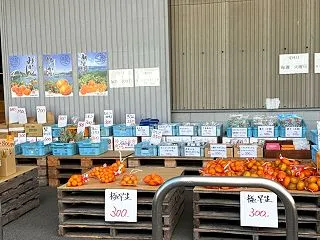 向島町にある「山一楠青果」へやって来た