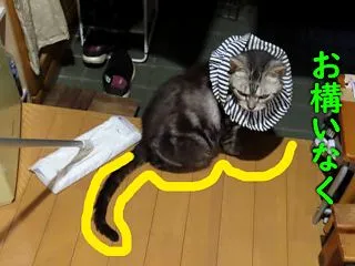 邪魔です