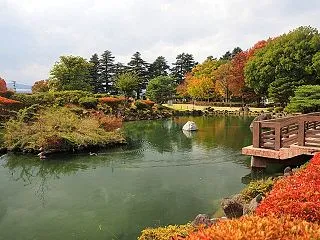 ★松本市あがたの森公園 色付き始め🍂 2…