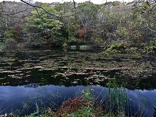 千歳湖という謎の沼