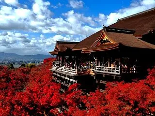 ホテル予約でポイント二重取り！旅行費を節…