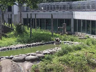 リベラルエリートの終焉