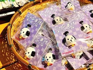 小4、通信教育にお金をかけるか迷う